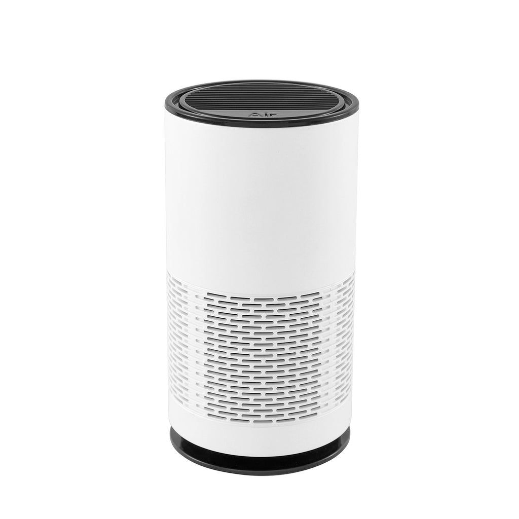 Portable Filtered Negative Ion Air Purifier
